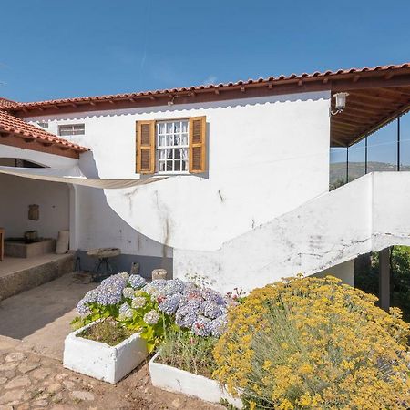 Quinta Do Acipreste ラメゴ エクステリア 写真