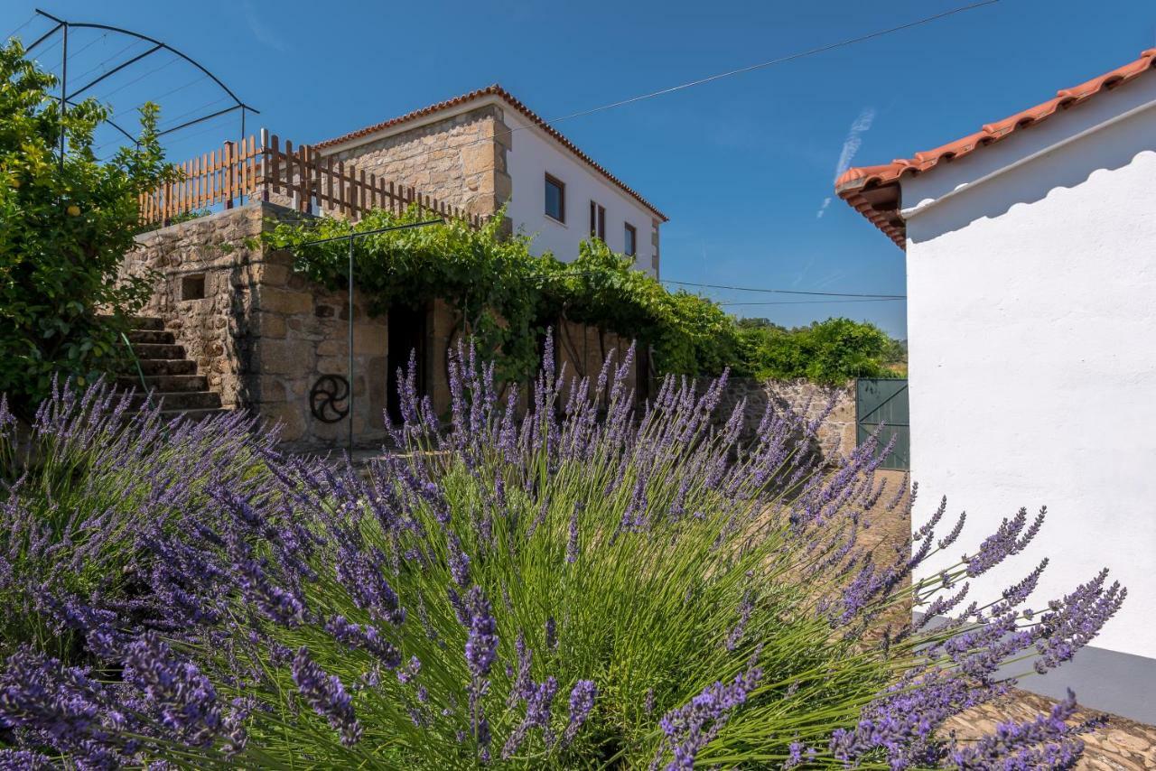 Quinta Do Acipreste ラメゴ エクステリア 写真