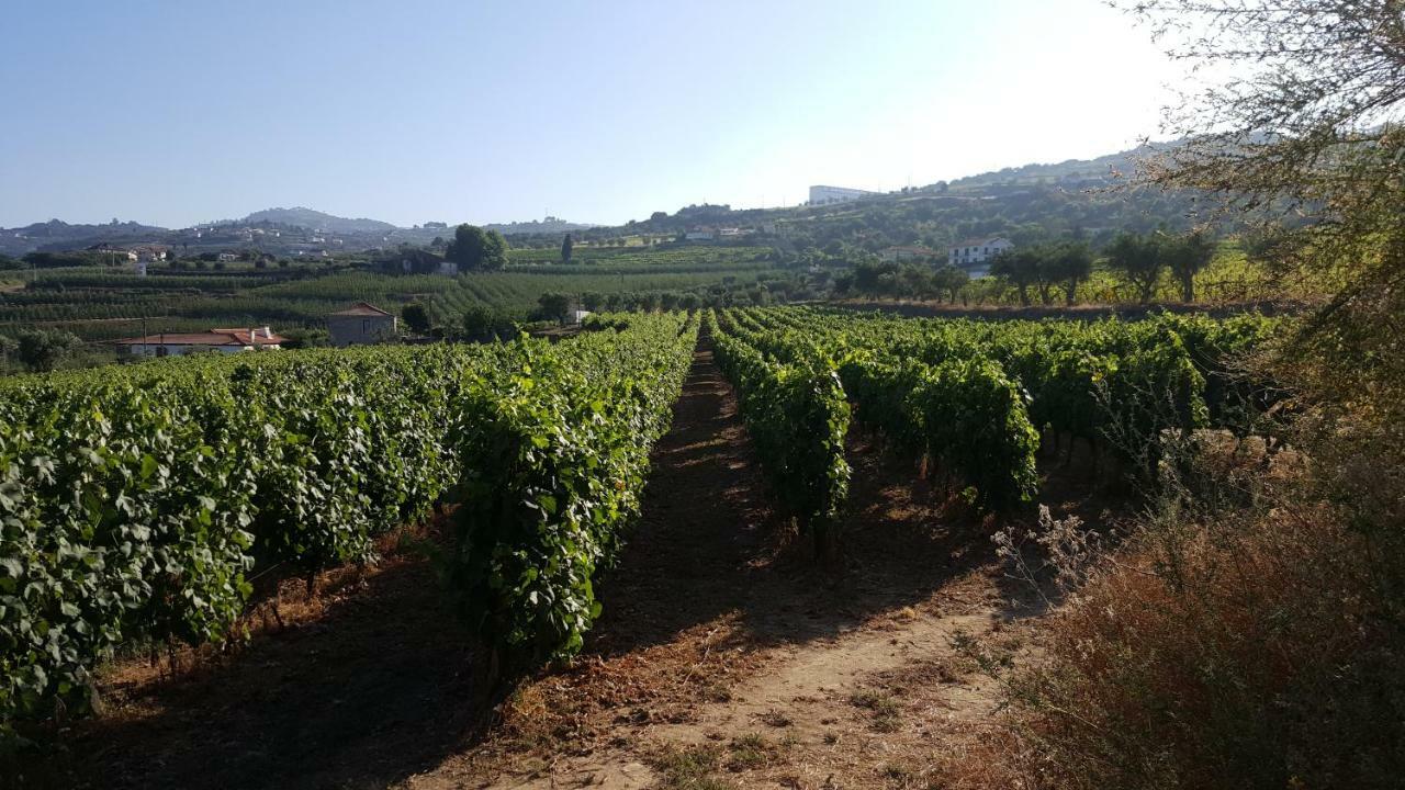 Quinta Do Acipreste ラメゴ エクステリア 写真