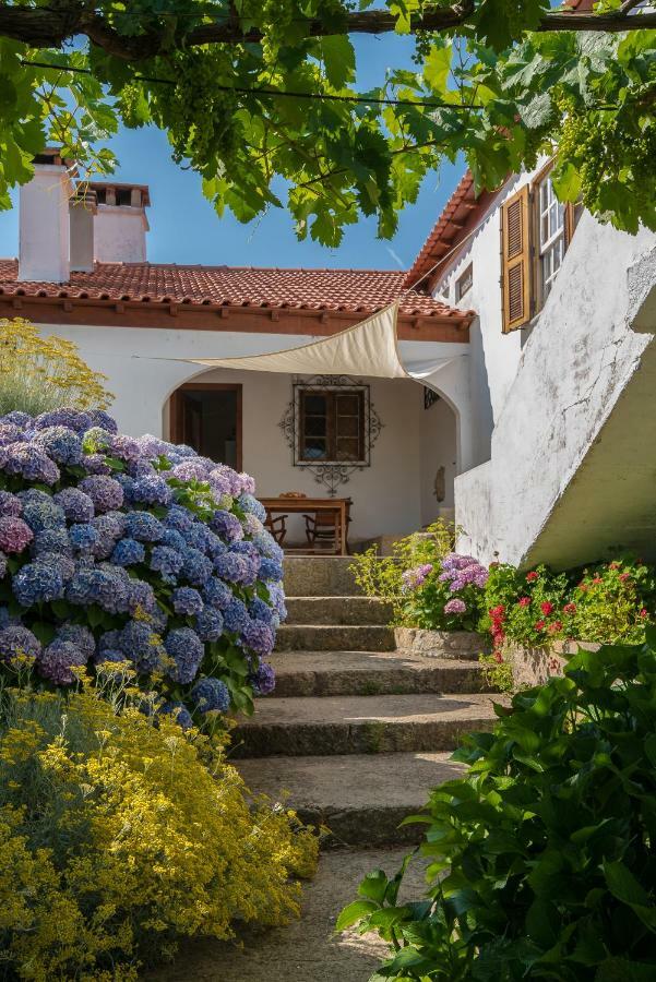 Quinta Do Acipreste ラメゴ エクステリア 写真