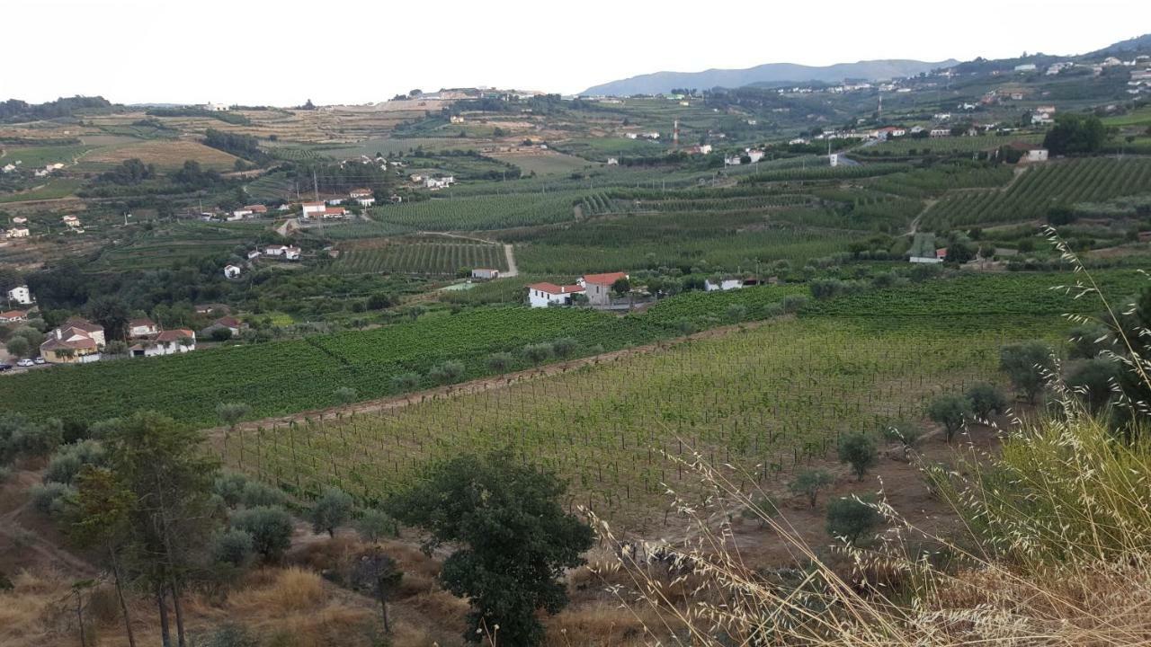 Quinta Do Acipreste ラメゴ エクステリア 写真